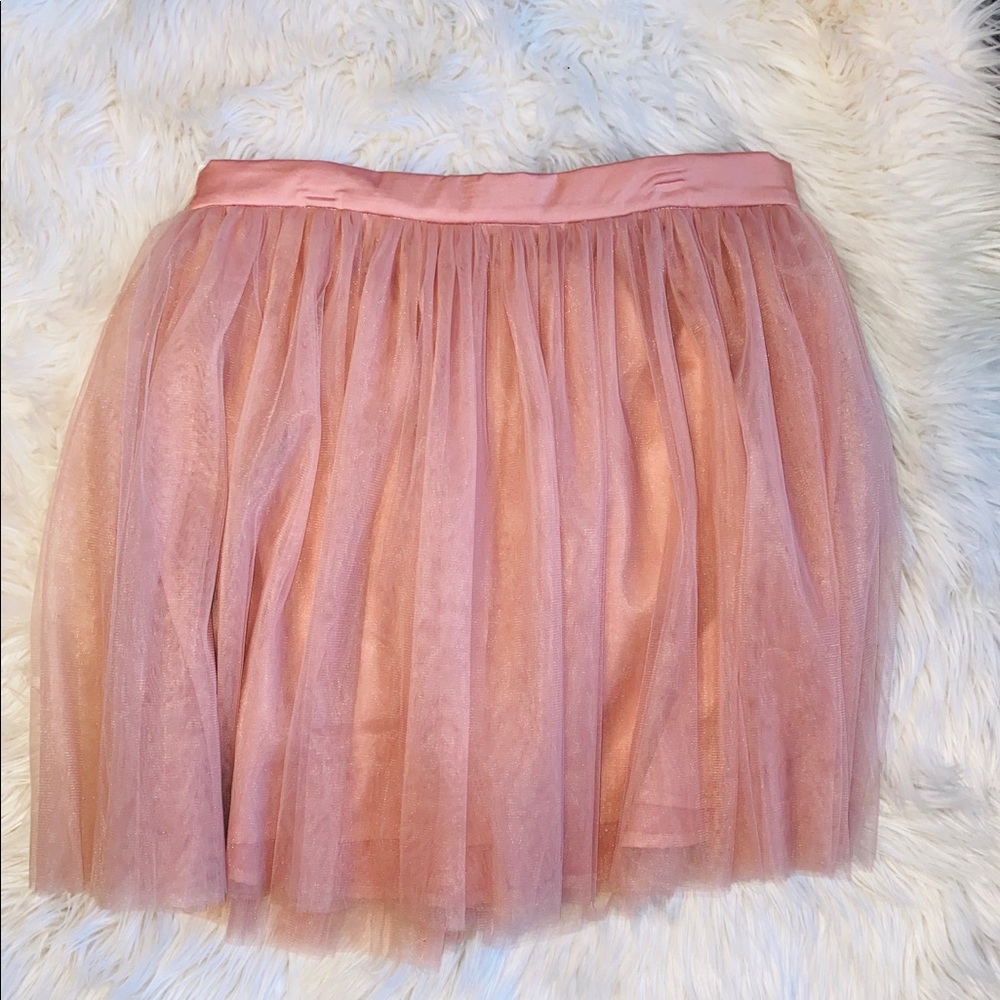 Tulle Skirt